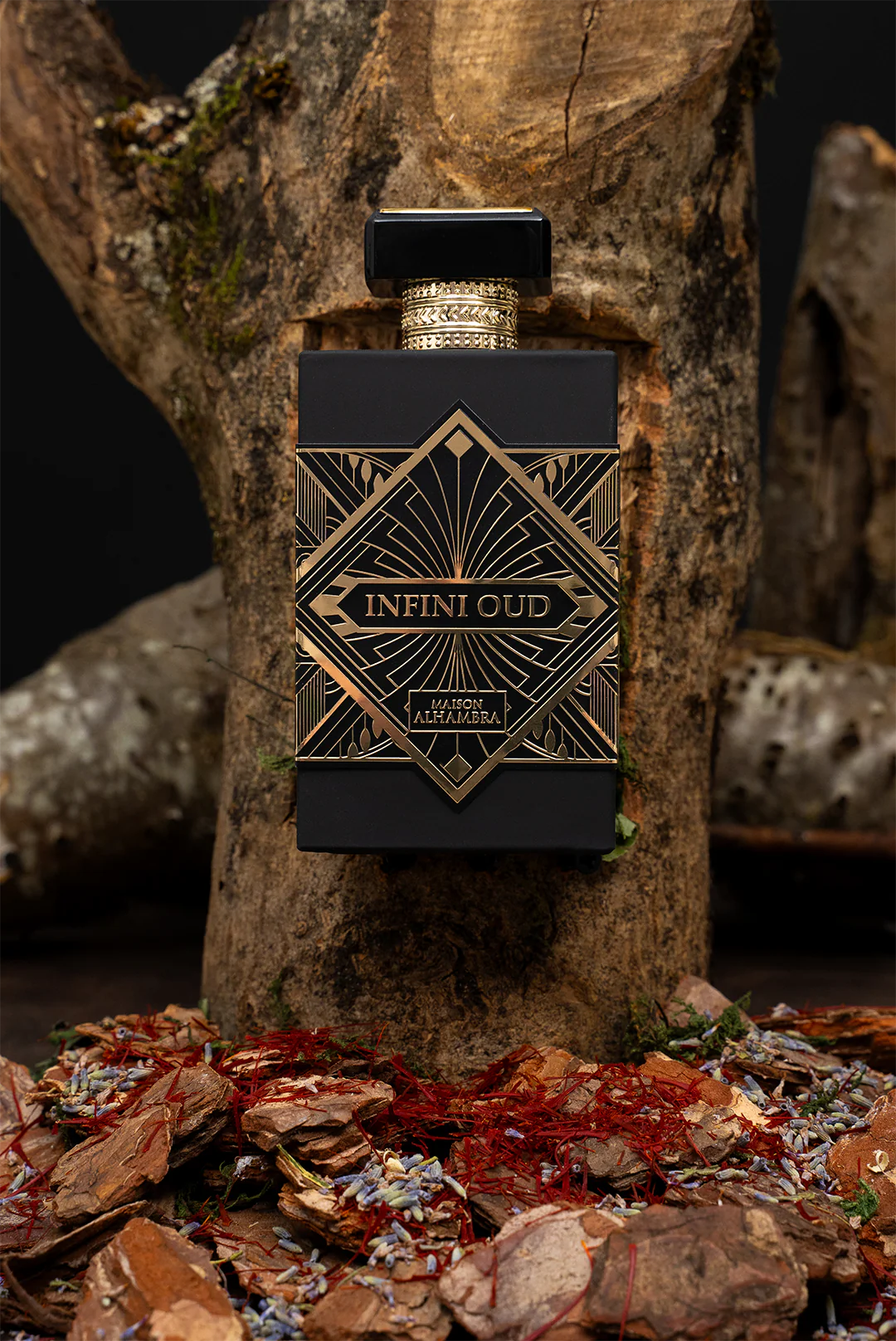Infini Oud 100 ml